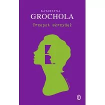 Trzepot skrzydeł Katarzyna Grochola - Proza - miniaturka - grafika 1