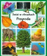 Książki edukacyjne - Świat w obrazkach. Przyroda - miniaturka - grafika 1