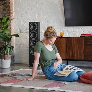 THEATER 500 + DENON DRA-900H + Pro-Ject Debut S Phono - Zestawy stereo - miniaturka - grafika 3