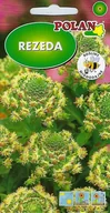 Nasiona i cebule - Rezeda wonna 2 g POLAN - miniaturka - grafika 1