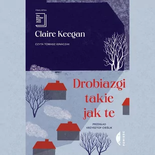 Drobiazgi takie jak te - Audiobooki - literatura piękna - miniaturka - grafika 1
