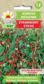 Nasiona i cebule - Komosa rózgowa STRAWBERRY STICKS Chenopodium foliosum - miniaturka - grafika 1