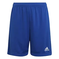 Spodenki damskie - adidas Szorty dziecięce unisex Ent22 SHO Y - miniaturka - grafika 1