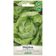 Nasiona i cebule - Sałata masłowa Amur nasiona 1g nasiona - WegAna - miniaturka - grafika 1