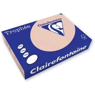 PAPIER KSERO TROPHEE A4 160g ŁOSOSIOWY 1104 250 ark. - Papier do drukarek - miniaturka - grafika 3