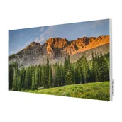 Ogrzewanie przenośne - TERMOFOL Grzejnik na podczerwień z grafiką leśna grań TF-SWT1000P - miniaturka - grafika 1