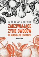E-booki - literatura polska - Zadziwiające życie owoców. Od ananasa do truskawki - miniaturka - grafika 1