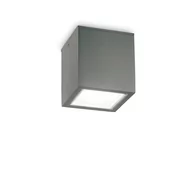 Lampy ogrodowe - Ideal Lux Lampa sufitowa zewnętrzna TECHO PL1 BIG antracyt 251516 251516/IL - miniaturka - grafika 1