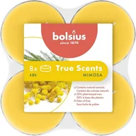 Świece - Bolsius True Scents Podgrzewacz zapachowy Maxi Mimosa 8szt - miniaturka - grafika 1