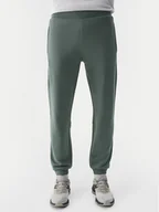 Spodnie sportowe męskie - 4F Spodnie dresowe 4FWSS24TTROM645 Zielony Regular Fit - miniaturka - grafika 1