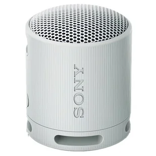 Sony SRS-XB100 Szary - Głośniki przenośne - miniaturka - grafika 1