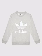 Bluzy dla chłopców - Adidas Bluza Trefoil GD2709 Szary Regular Fit - miniaturka - grafika 1