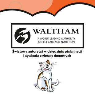 DREAMIES 6x60g - przysmak dla kota z pysznym kurczakiem - Przysmaki dla kotów - miniaturka - grafika 4