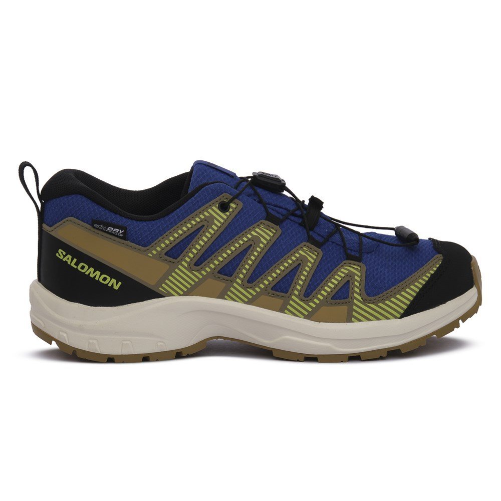Buty Salomon XA Pro V8 491087