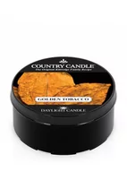 Świece - Country Candle Świeczka zapachowa Golden Tobacco Daylight Candle 35 g - miniaturka - grafika 1
