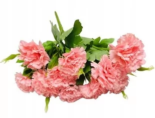 SZTUCZNE RÓŻOWE Goździki bukiet DEKORACJA STROIK WAZONU DONICZKI wiosna - Sztuczne kwiaty - miniaturka - grafika 1