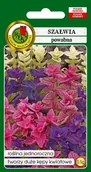 Nasiona i cebule - Szałwia Powabna Mieszana 0.5 g PNOS - miniaturka - grafika 1