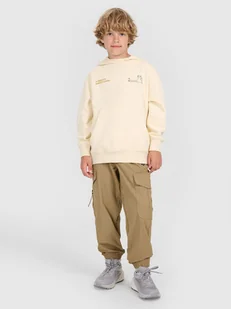 4F Spodnie casual cargo chłopięce - brązowe 122 (6-7 lat) - Spodnie męskie - miniaturka - grafika 1