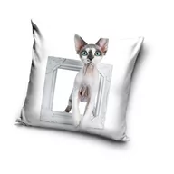 Poszewki na poduszki - Poszewka Na Poduszkę 40X40 - Kot Cat 4 - miniaturka - grafika 1