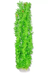 Roślina folia 65cm 6f37 Happet - Dekoracje do akwarium - miniaturka - grafika 1