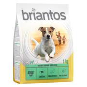 Sucha karma dla psów - Briantos Adult Mini, jagnięcina & ryż - Opakowanie ekonomiczne: 8 x 1 kg - miniaturka - grafika 1