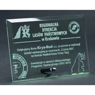 Gadżety dla kibiców - Trofeum szklane grawerowane - miniaturka - grafika 1