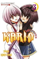 Komiksy dla młodzieży - Wampirzyca Karin. Tom 3 - miniaturka - grafika 1