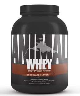 Universal Animal Whey 2270g Chocolate - Odżywki białkowe - miniaturka - grafika 1