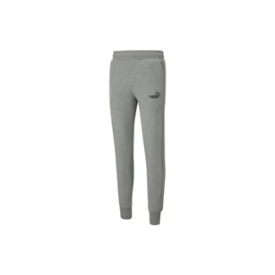 Spodnie Puma Essentials Slim, Mężczyźni - Spodnie sportowe męskie - miniaturka - grafika 1