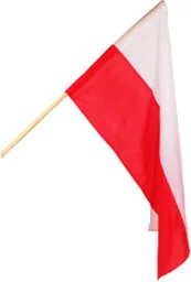 Flaga polski z drzewcem - Flagi i akcesoria - miniaturka - grafika 1