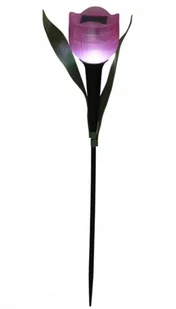 Lampa solarna Tulipan 30cm Kolorowa dekoracja ogrodowa z ciepłym światłem - Lampy ogrodowe Lampa solarna Tulipan 30cm Kolorowa dekoracja ogrodowa z ciepłym światłem - Lampy ogrodowe - miniaturka - grafika 1