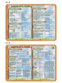 Podkładki na biurko - Nieprzypisany Podkładka edukacyjna Pisownia z by i $330nie$331 wyrazy pochodne rodzaje zapożyczeń VISU001 - miniaturka - grafika 1