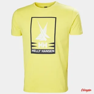 Koszulka męska HELLY HANSEN SHORELINE 2.0 T-SHIRT - Endive - Koszulki męskie - miniaturka - grafika 1