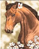 Malowanie po numerach - Norimpex, Malowanie po numerach, Koń - miniaturka - grafika 1