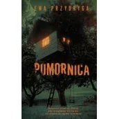 Kryminały - Pomornica (pocket) - miniaturka - grafika 1