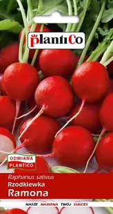 Plantico Rzodkiewka Ramona - Nasiona i cebule - miniaturka - grafika 1