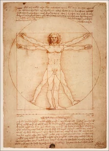 Plakat, Anatomia Leonardo da Vinci, 21x29,7 cm - Plakaty - miniaturka - grafika 1