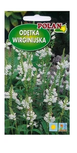 Odętka wirginijska biała 0,2 g POLAN - Nasiona i cebule - miniaturka - grafika 1