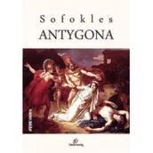 Lektury szkoła podstawowa - Siedmioróg Sofokles Antygona - miniaturka - grafika 1