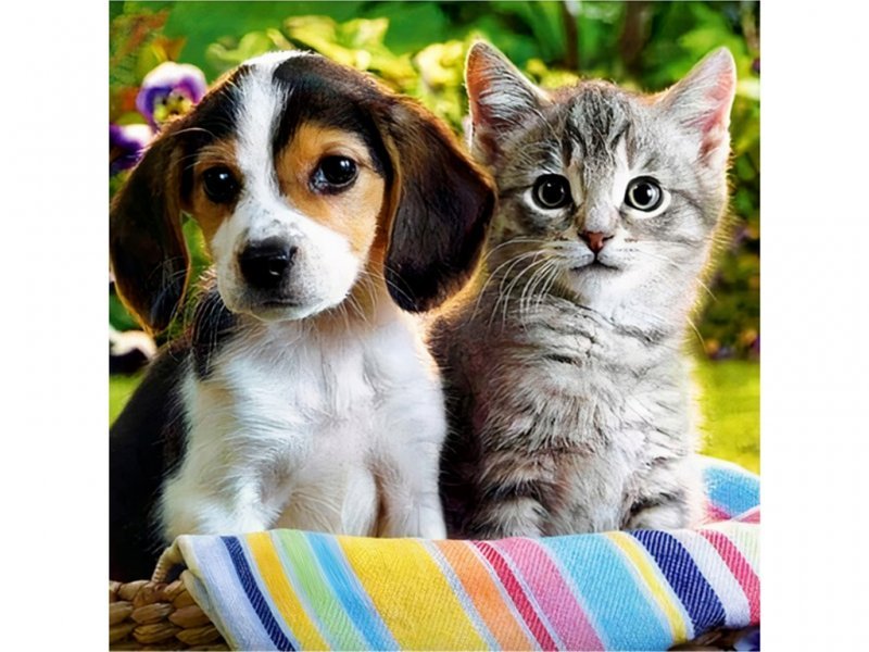 DLA DZIECI HAFT DIAMENTOWY, MOZAIKA DIAMENTOWA