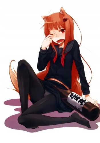 Plakat Anime Spice and Wolf saw_034 A1+ (custom)