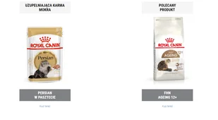 ROYAL CANIN Persian Adult 30 400g - Sucha karma dla kotów - miniaturka - grafika 9