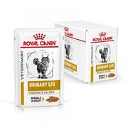 Mokra karma dla kotów - Royal Canin Cat Urinary Moderate Calorie 12x85g - miniaturka - grafika 1