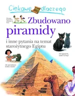 Baśnie, bajki, legendy - Olesiejuk Sp. z o.o. Philip Steele Ciekawe dlaczego zbudowano piramidy - miniaturka - grafika 1