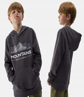 Bluzy dla chłopców - 4F Bluza Chłopięca Dresowa Sportowa Z Kapturem Dziecięca - miniaturka - grafika 1