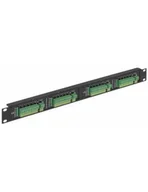 Akcesoria do szaf serwerowych - Delta Rozgałęźnik zasilania 19&quot 20x wyjście DC LZ-20/POL/R19 LZ-20/POL/R19 - miniaturka - grafika 1