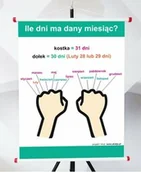 Pomoce naukowe - Plansza - Ile dni ma dany miesiąc - miniaturka - grafika 1