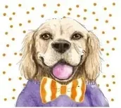 Kartki okolicznościowe i zaproszenia - Karnet KW Pies pomarańcz - Henry - miniaturka - grafika 1