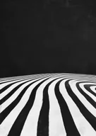 Plakaty - Plakat Czarno-białe paski zebry tworzące iluzję - miniaturka - grafika 1
