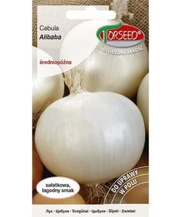 Nasiona Cebula Alibaba 3g - Torseed - Nasiona i cebule - miniaturka - grafika 1